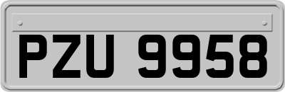 PZU9958