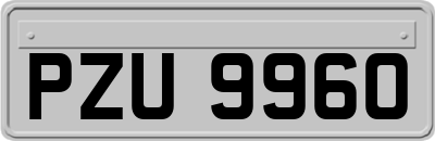 PZU9960