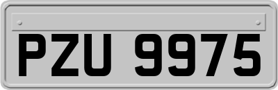 PZU9975