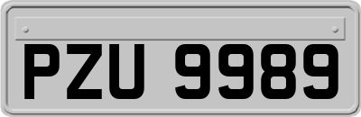 PZU9989