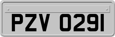 PZV0291