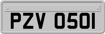 PZV0501