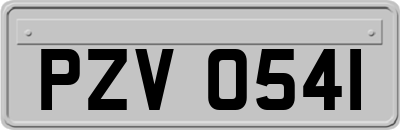 PZV0541