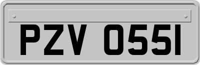 PZV0551