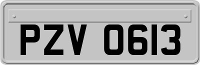 PZV0613