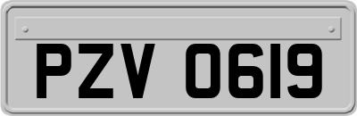 PZV0619