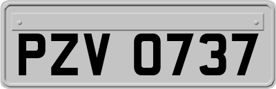 PZV0737