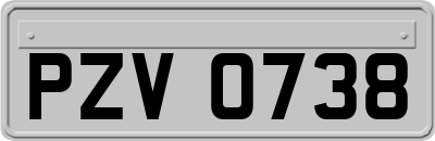 PZV0738