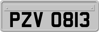 PZV0813