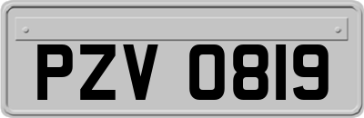 PZV0819