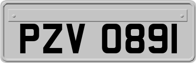 PZV0891