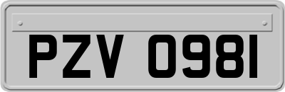 PZV0981