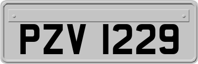 PZV1229