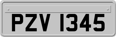 PZV1345