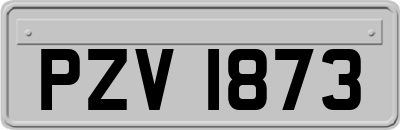 PZV1873