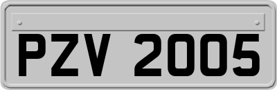 PZV2005