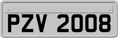 PZV2008