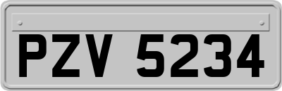 PZV5234