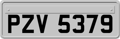 PZV5379