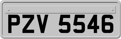 PZV5546