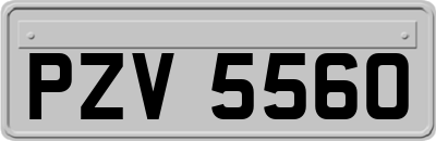 PZV5560