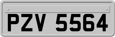 PZV5564