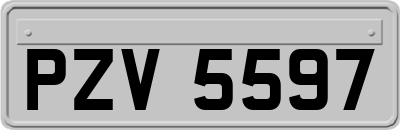 PZV5597