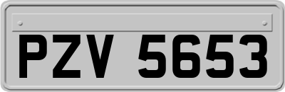 PZV5653