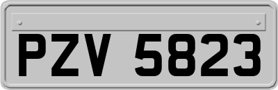 PZV5823