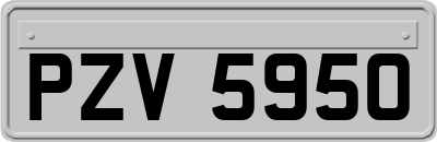 PZV5950