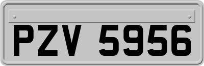 PZV5956