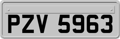 PZV5963