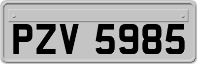 PZV5985