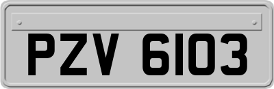 PZV6103