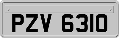 PZV6310