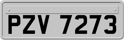 PZV7273