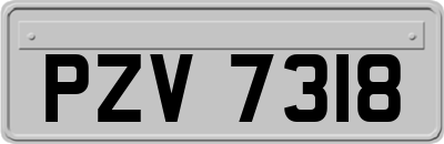 PZV7318