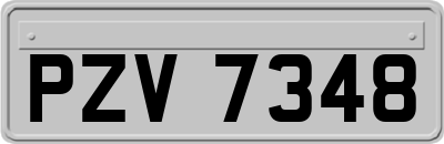 PZV7348