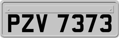 PZV7373