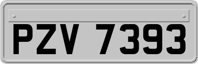 PZV7393