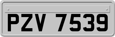 PZV7539