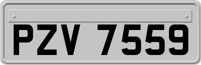 PZV7559