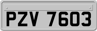 PZV7603