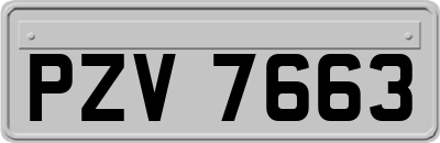 PZV7663