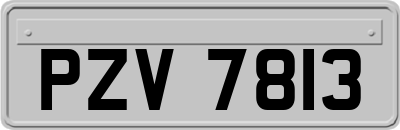 PZV7813