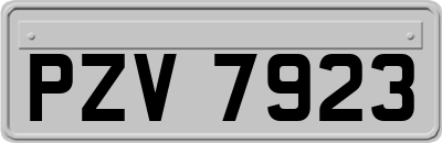 PZV7923