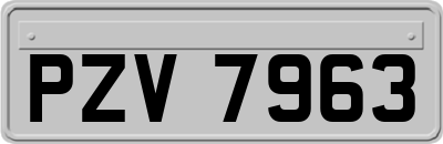 PZV7963