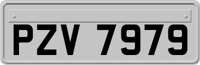 PZV7979