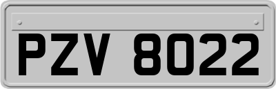 PZV8022