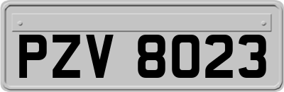 PZV8023